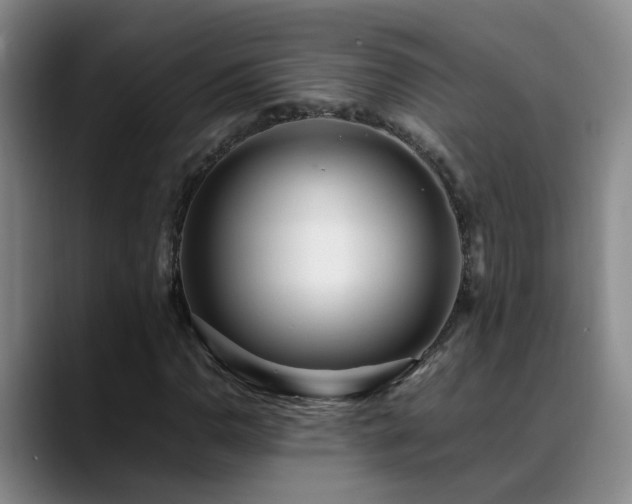 X0000089431110200706151304
