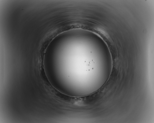 X0000089431111200706151304