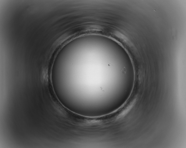 X0000089431113200706151304