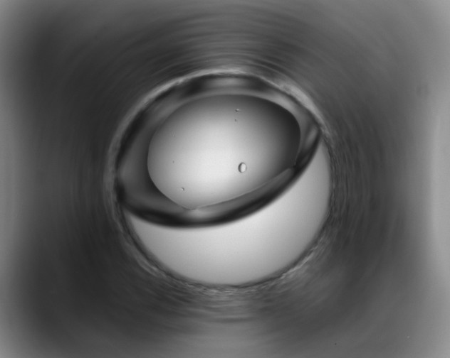 X0000089431116200706151304