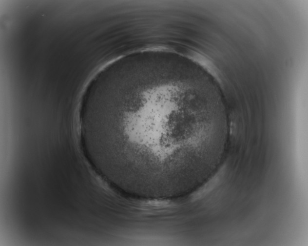 X0000089431117200706151304