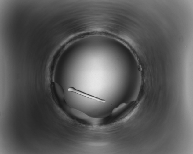 X0000089431118200706151304