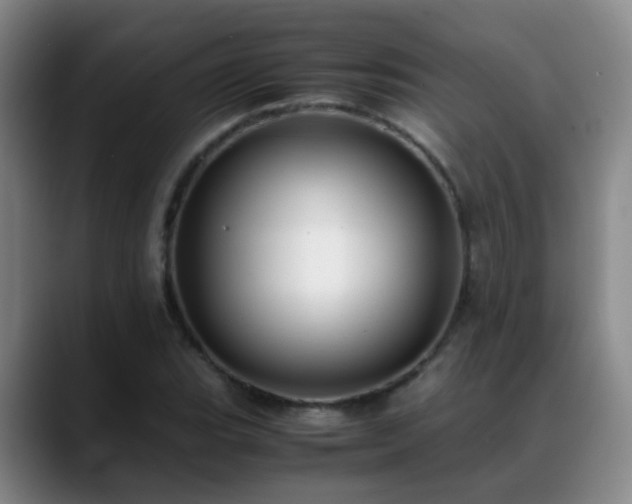 X0000089431119200706151304