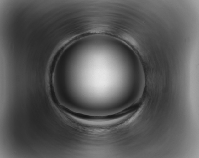 X0000089431122200706151304