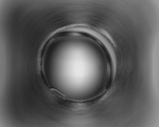 X0000089431124200706151304