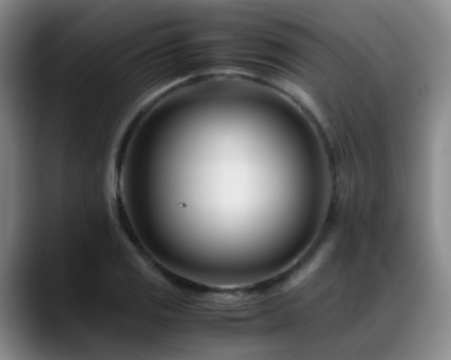 X0000089431125200706151304