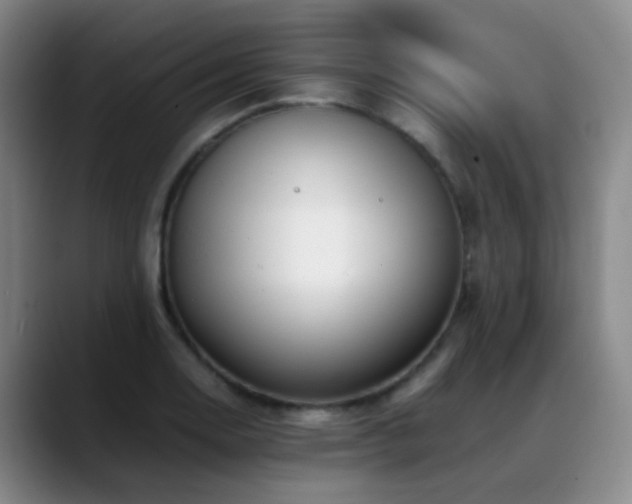 X0000089431130200706151304