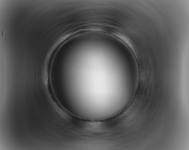 X0000089431131200706151304