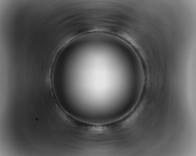 X0000089431137200706151304