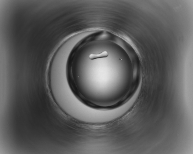 X0000089431140200706151304