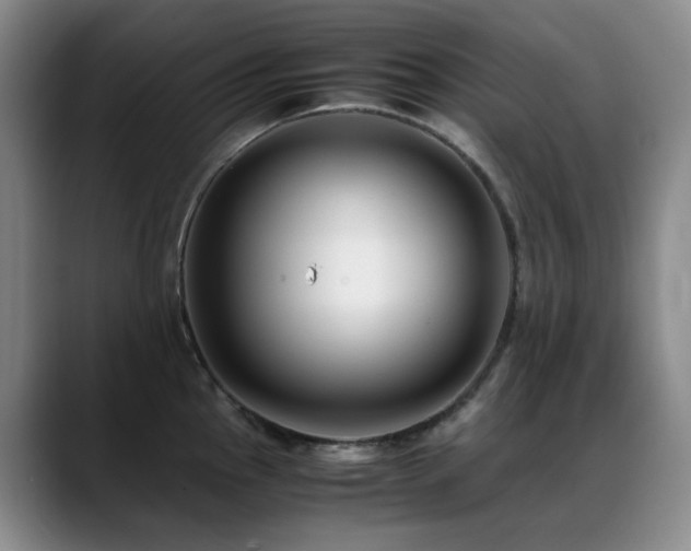 X0000089431145200706151304