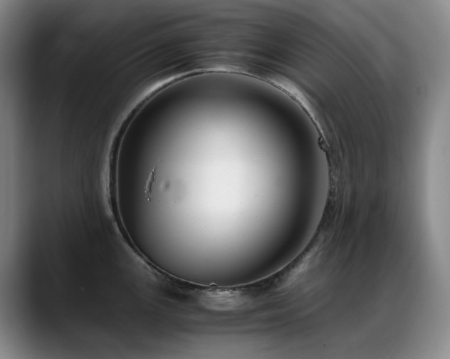 X0000089431147200706151304