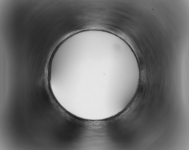 X0000089431150200706151304