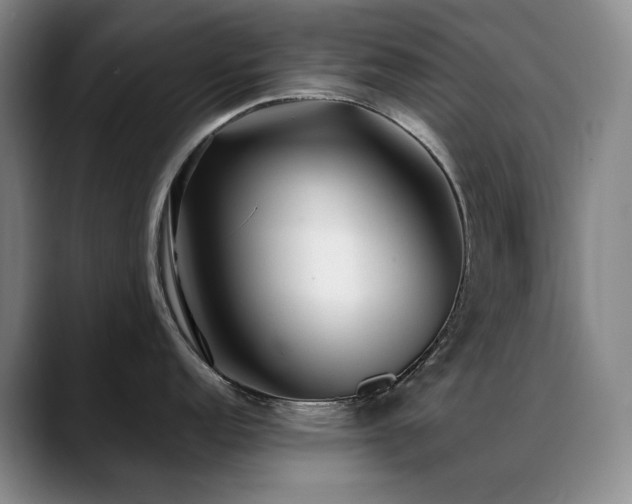 X0000089431152200706151304