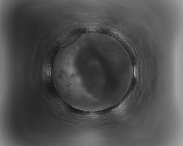 X0000089431155200706151303