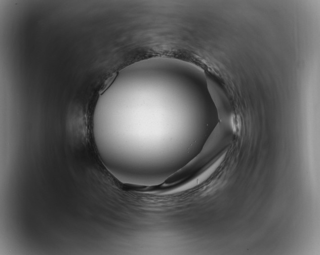 X0000089431156200706151303