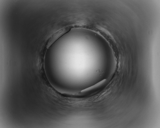 X0000089431160200706151303