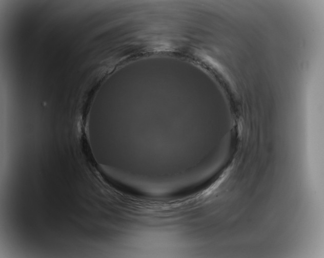 X0000089431161200706151303