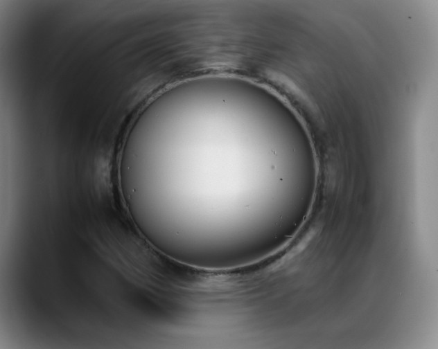 X0000089431162200706151303