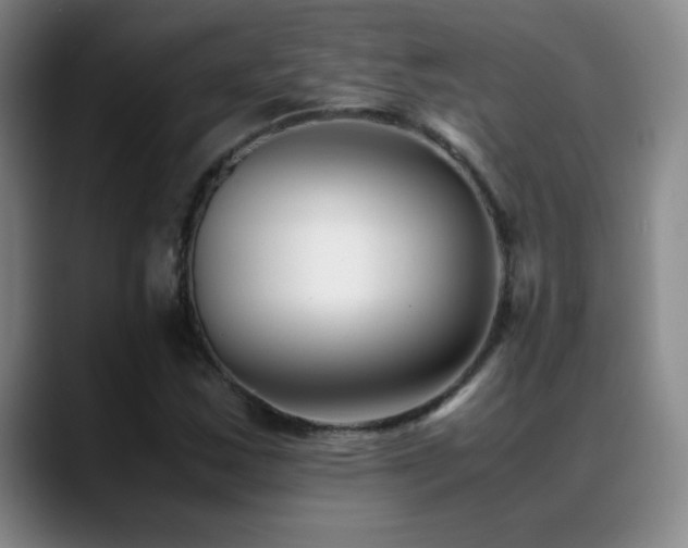 X0000089431163200706151303