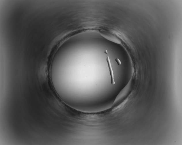 X0000089431164200706151303