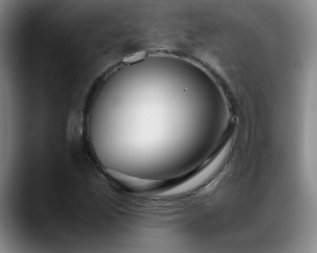 X0000089431165200706151303