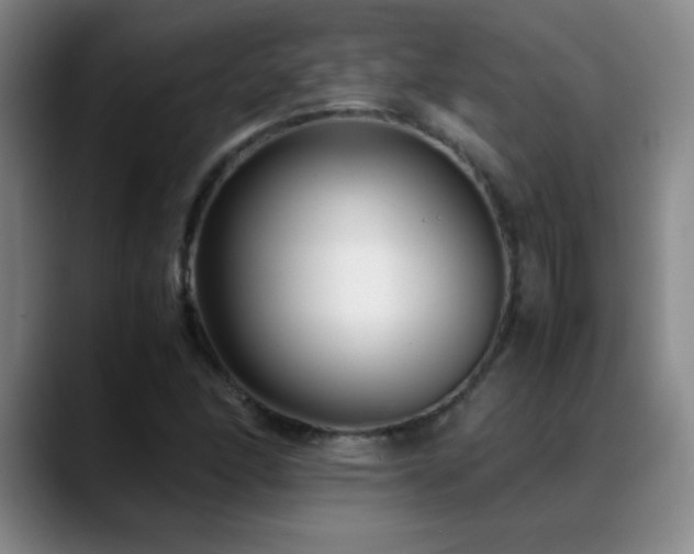 X0000089431166200706151303