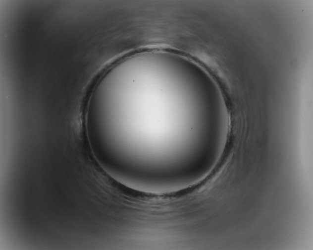 X0000089431167200706151303
