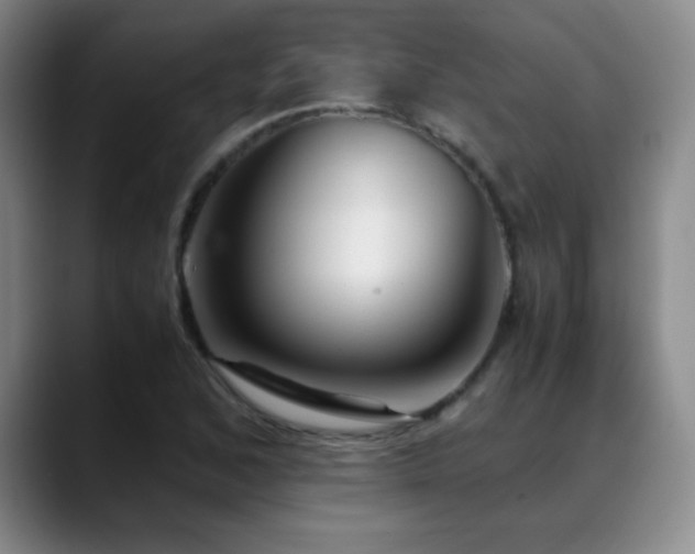 X0000089431168200706151303