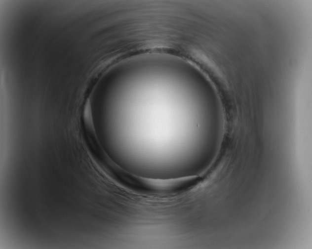 X0000089431169200706151303