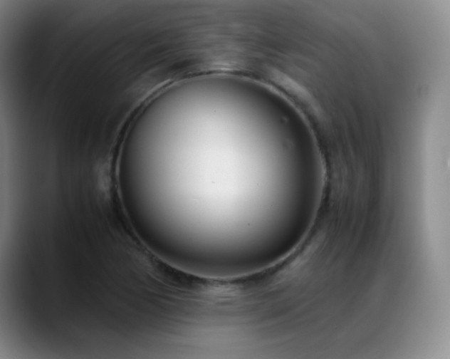 X0000089431170200706151303