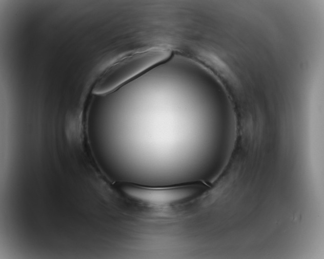 X0000089431172200706151303