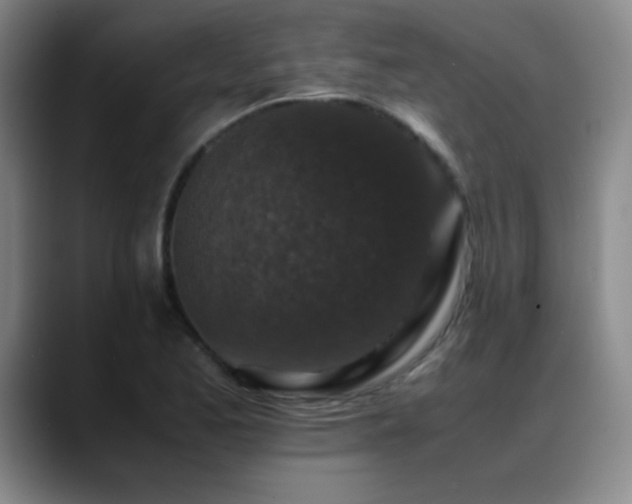 X0000089431173200706151303