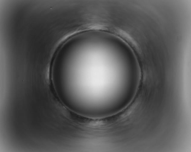 X0000089431174200706151303