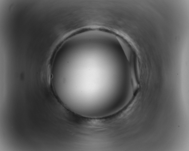 X0000089431175200706151303
