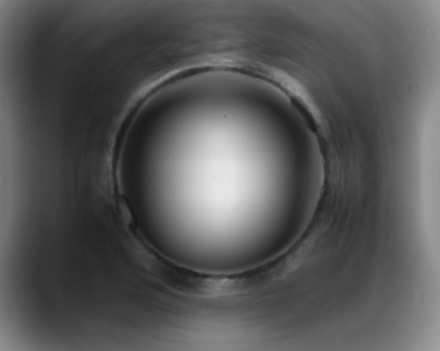 X0000089431176200706151303