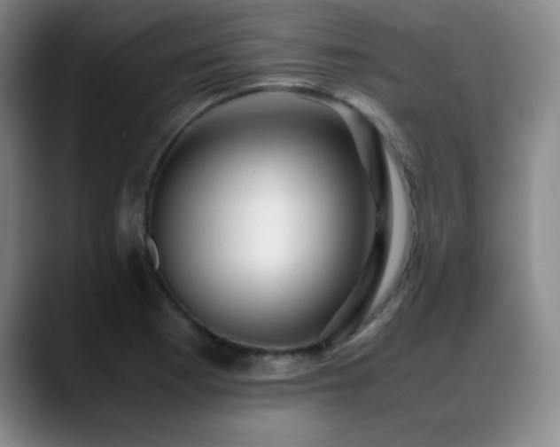 X0000089431177200706151303