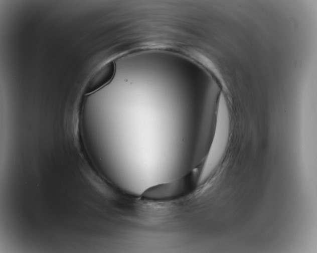 X0000089431179200706151303