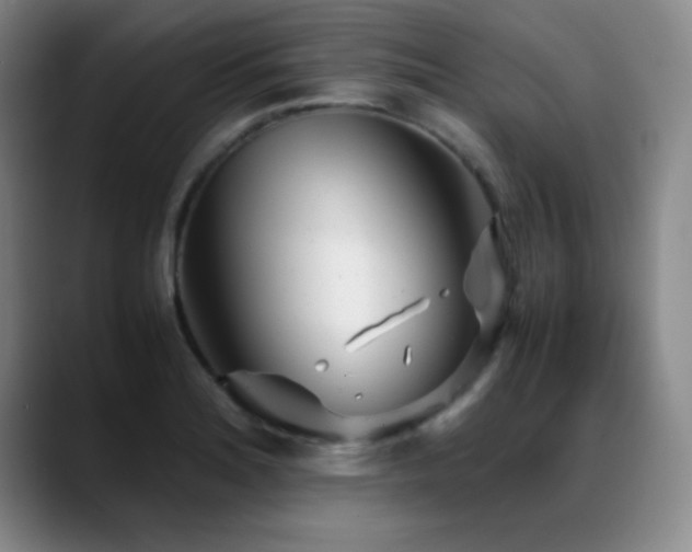 X0000089431180200706151303
