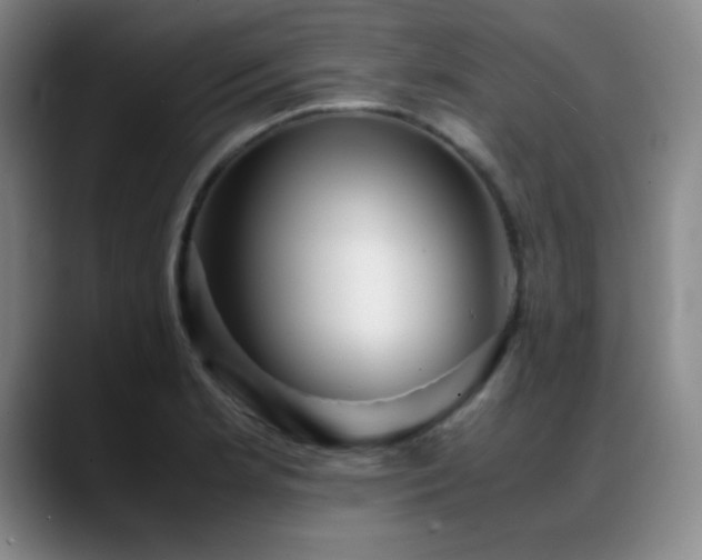 X0000089431181200706151303