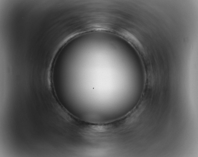 X0000089431182200706151303
