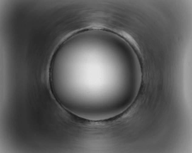 X0000089431183200706151303