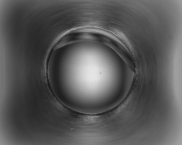 X0000089431184200706151303