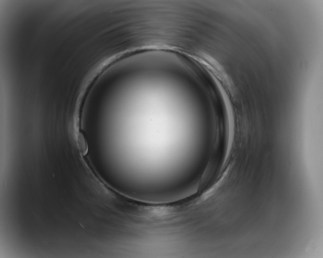 X0000089431188200706151303