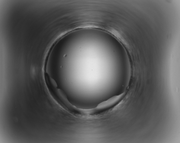 X0000089431189200706151303