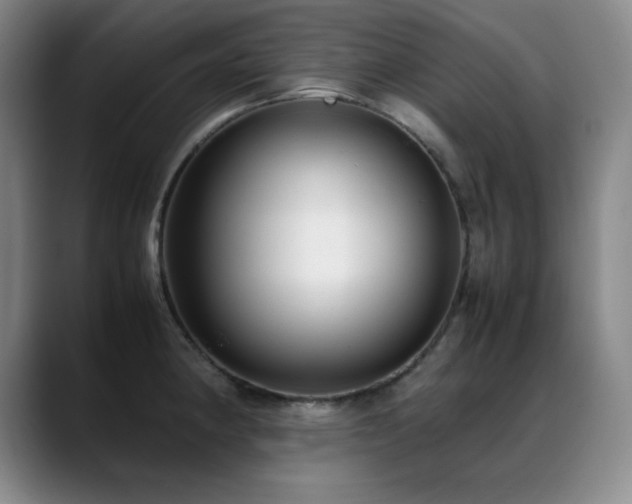 X0000089431190200706151303