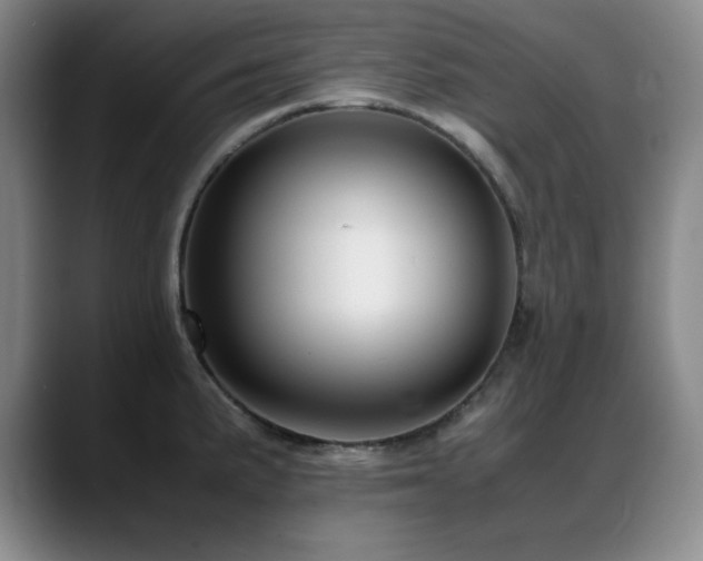 X0000089431191200706151303