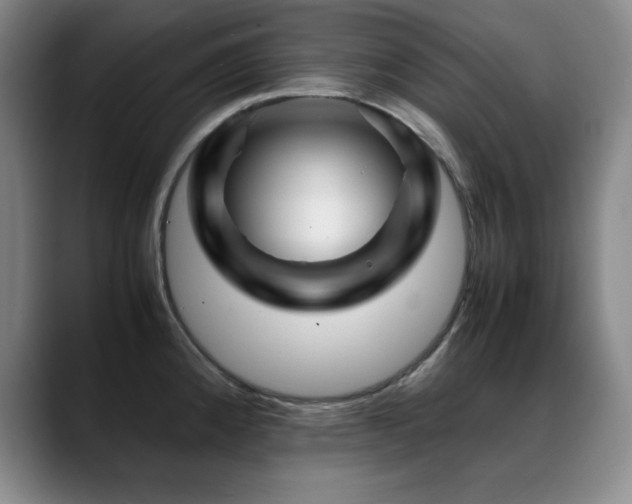 X0000089431192200706151303