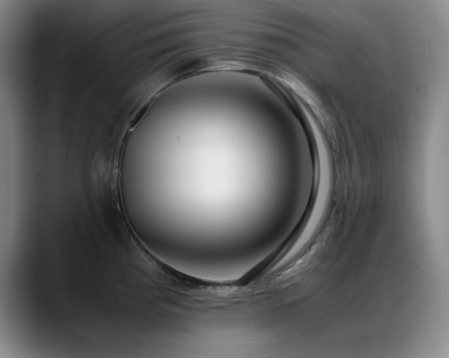 X0000089431193200706151303