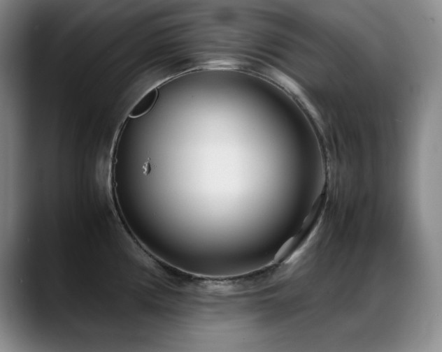X0000089431194200706151303